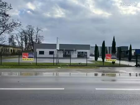 local d'activité 590 m²