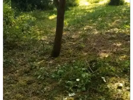 recherche terrain de loisirs
