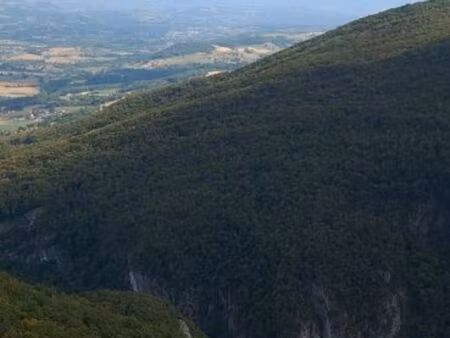 recherche terrain boisé
