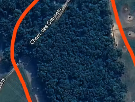 terrain boisé