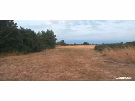 terrain 2000 m carré