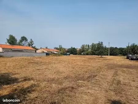 terrain constructible