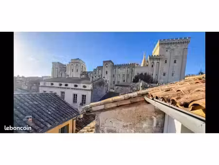 charmant appartement avec terrasse vue palais des papes – avignon centre