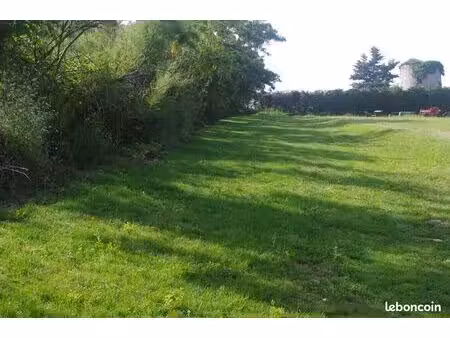 terrains de 4 ha sur les hauteurs de montauban