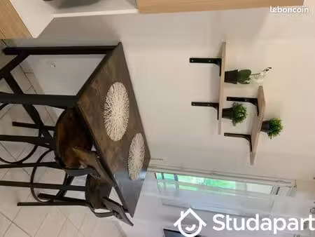 appartement 1 pièce 34 m²