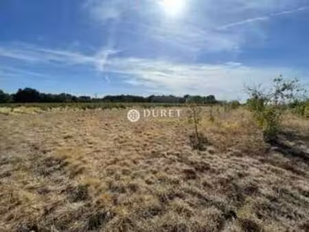 vente terrain à maisdon-sur-sèvre (44690) : à vendre / 500m² maisdon-sur-sèvre
