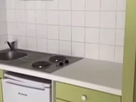location appartement 1 pièce 24 m² à nantes (44000)  529 €