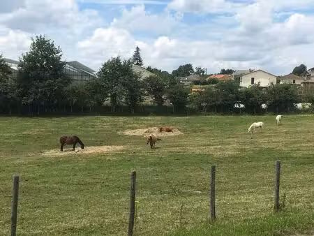 terrain agricole