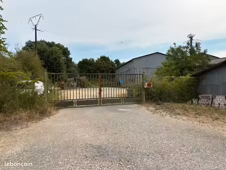 terrain - 4000 m² environ