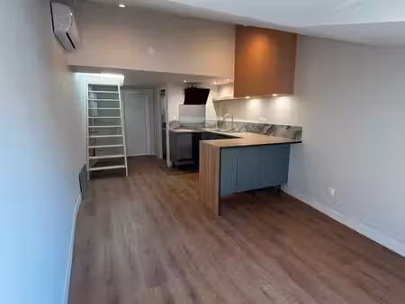 t1 bis duplex avec mezzanine – centre-ville – entièrement rénové – pac réversible – sans f