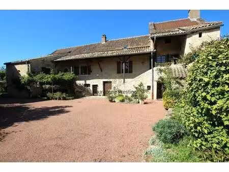 hôtel particulier à vendre