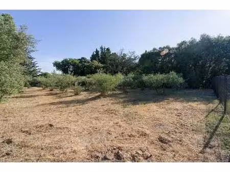 terrain constructible viabilisé à vendre