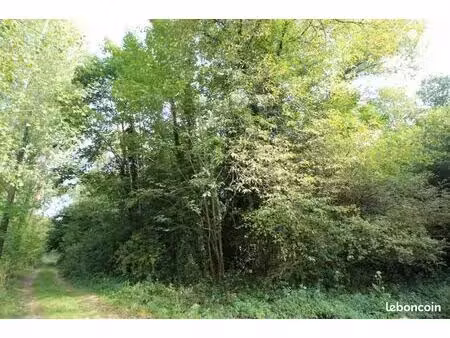 terrain 8037 m² le ponchel
