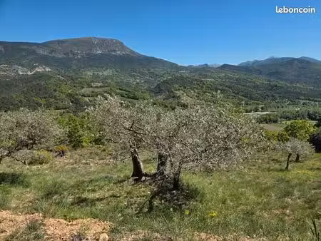 terrain agricole