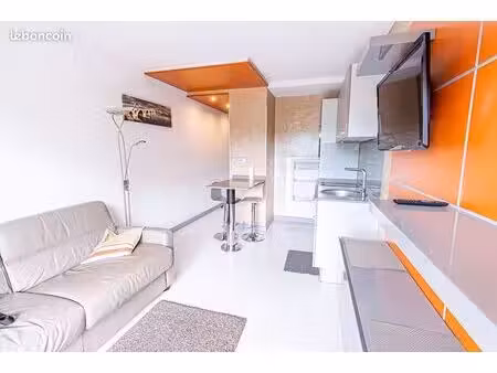 appartement 1 pièce 20 m²