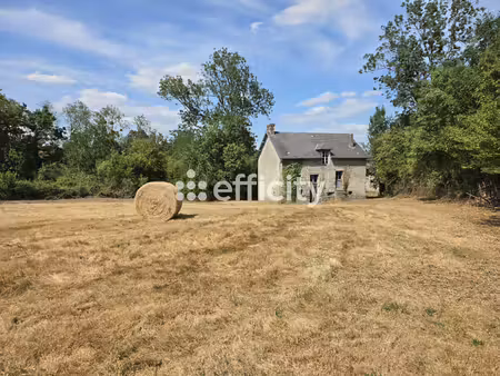 maison 2 pièces - 130 m²