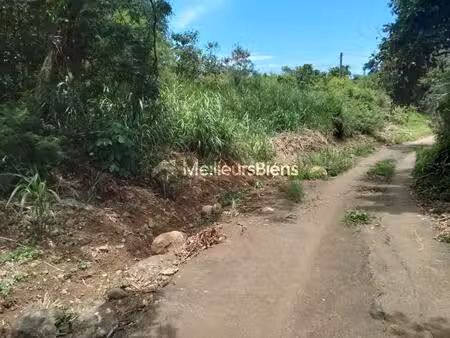 terrain de 815 m² dont environ 300 m² constructible  cos 0 60