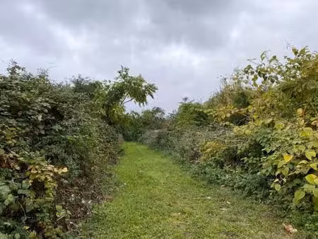terrain constructible