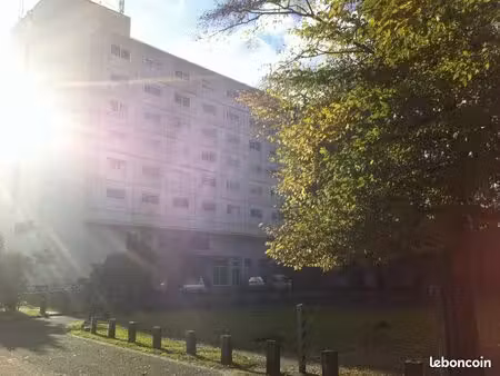 location appartement 21 m2 gradignan