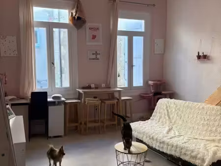 appartement t1 bis