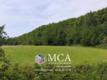 terrain constructible viabilisé à vendre
