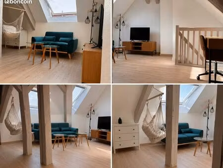superbe duplex meublé et rénové au centre-ville