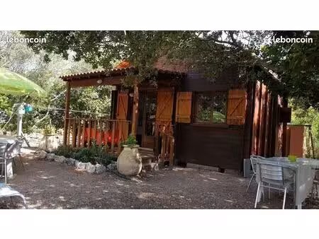 location année scolaire très proche de bonifacio