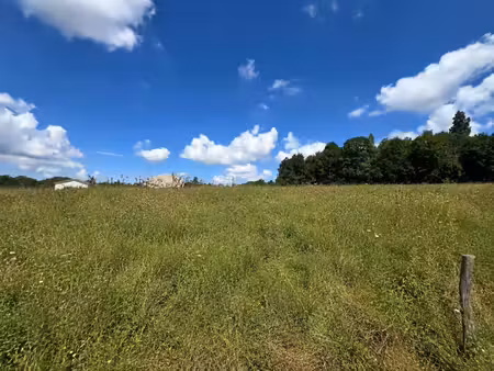terrain
