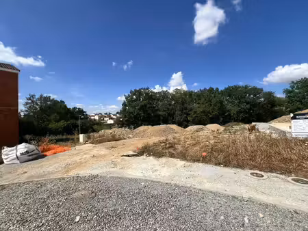 terrain