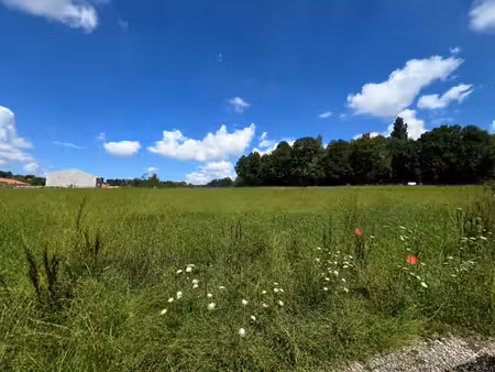 terrain