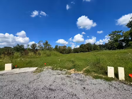 terrain