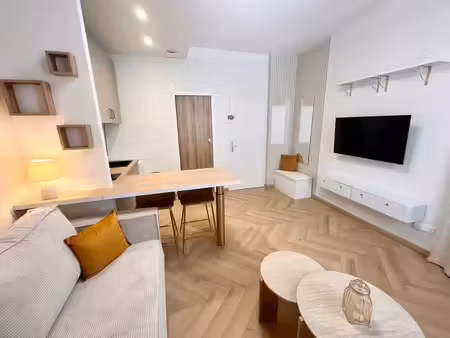 location appartement 1 pièce 18 m² à annecy (74000)