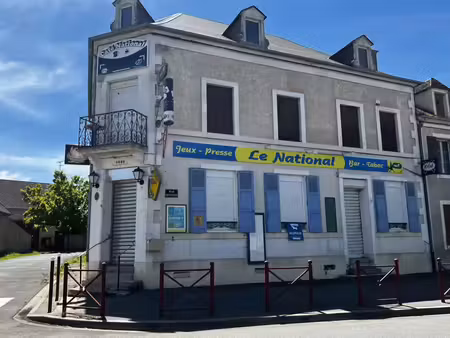 vente maison 7 pièces 200 m² charenton-du-cher (18210)
