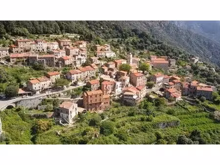 maison de luxe 7 chambres en vente à ota  corse