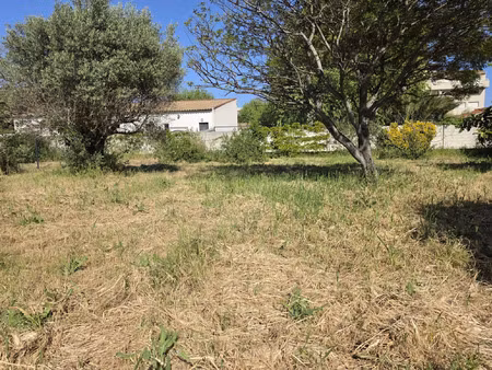 vente terrain 341 m² la ciotat (13600)