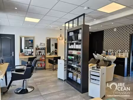 vente commerce vue 44119 50m²