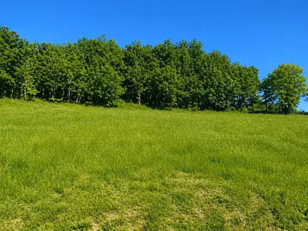 vente terrain 1639 m² à celles (24600)  16 500 €