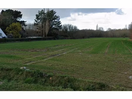 vente terrain 468 m² à le hinglé (22100)  47 000 €