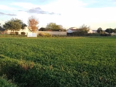 vente terrain 1530 m² à maille (85420)  36 000 €