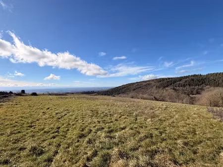 vente terrain 1300 m² à les brunels (11400)  39 000 €