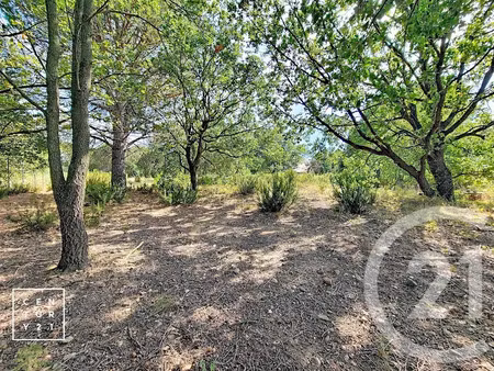 vente terrain 5055 m² à toulouges (66350)  28 500 €