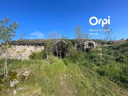 vente terrain 700 m² à saint-etienne-du-valdonnez (48000)  25 000 €