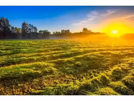vente terrain 3156 m² à montholier (39800)  36 000 €