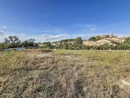 terrain