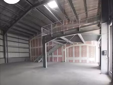 location locaux professionnels 1 pièce 229.38 m² à les abymes (97139)  6 002 €