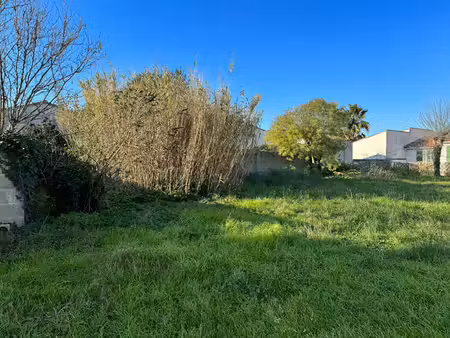 vente terrain 441 m² sainte-marie-de-ré (17740)