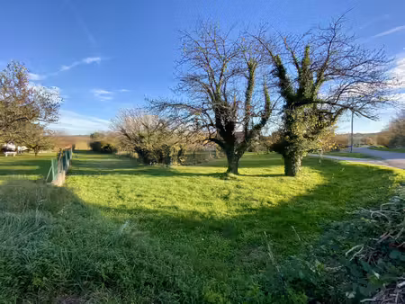 terrain constructible