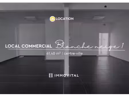 location local professionnel 61m² y 80190