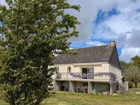 achat : maison (56120)