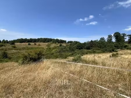 propriété équestre sur 8 hectares ? proche montauban
